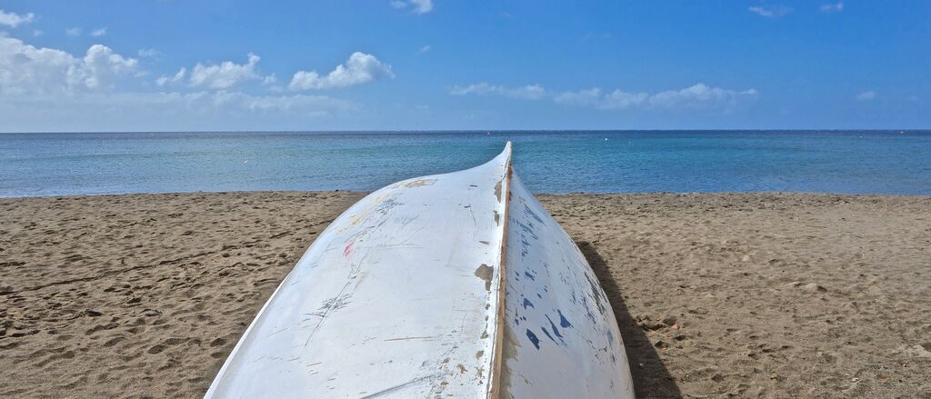 Teddy charti Hlsiin T Voc4 unsplash