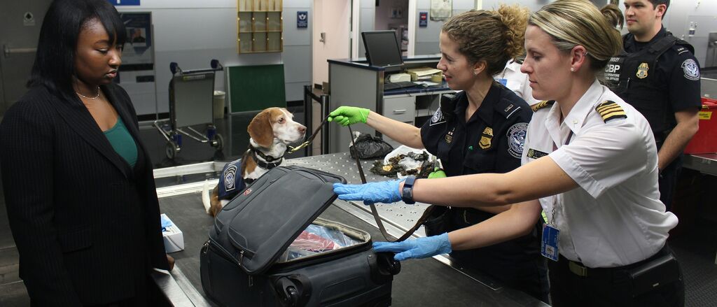 Cdc C Mh VRKI6v SY unsplash