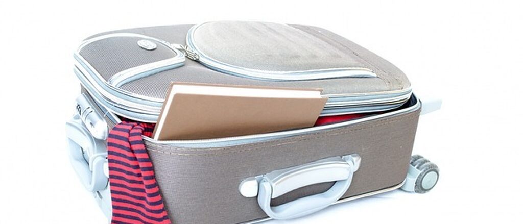Valise